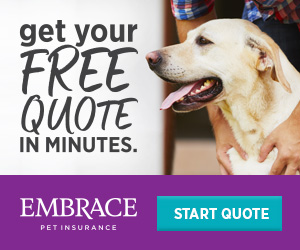 Get your free quote in minutes