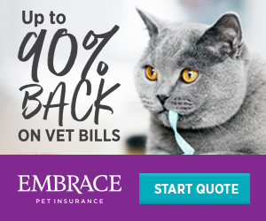 Up to 90% back on vet bills
