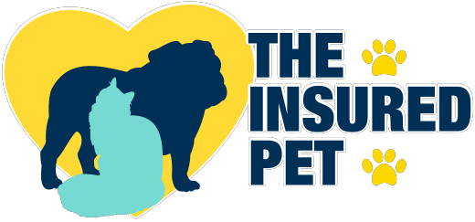 My peace of mind - I have pet Insurance | Pet Insurance ...
