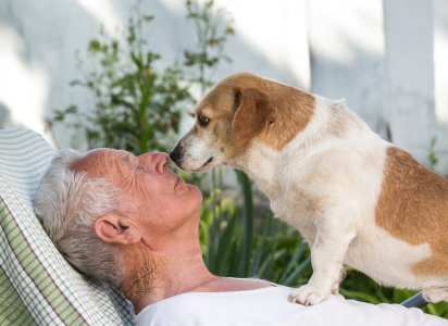 Why Pets Are Good for the Elderly