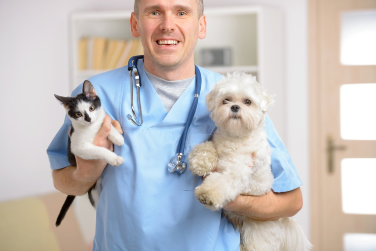 Mistakes Pet Owners Make When Purchasing Pet Insurance