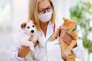 NYC Pet Parents: Quick Savings on Pet Insurance at The Insured Pet
