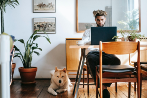 how-to-adopt-a-pet-and-build-a-business-at-the-same-time1