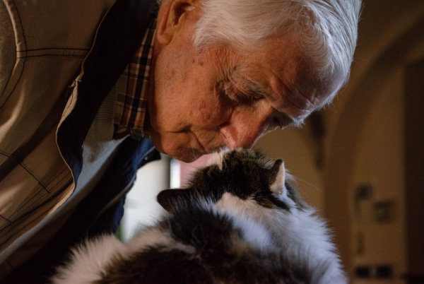 How Can a Pet Help Retirees?