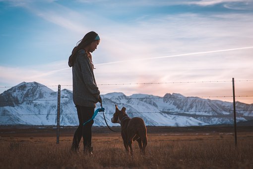 Taking Your Pet on Your Next Adventure: A Handy Guide for Digital Nomads